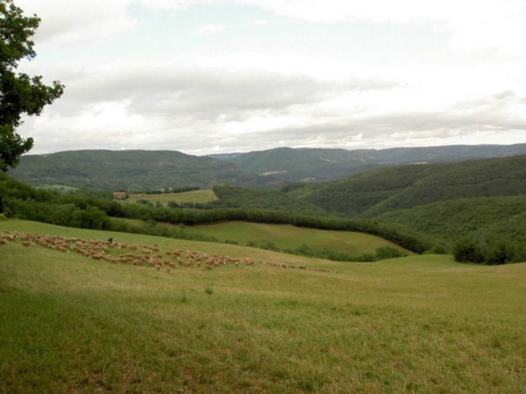 Gite L'Oustal Occitan A Saint-Juery Villa Luaran gambar